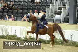 24R13_06486 thumbnail