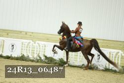24R13_06487 thumbnail