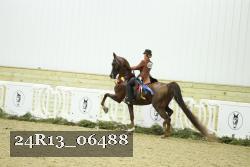 24R13_06488 thumbnail