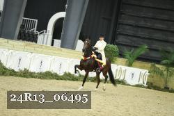 24R13_06495 thumbnail