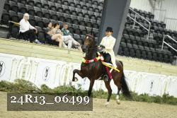 24R13_06499 thumbnail
