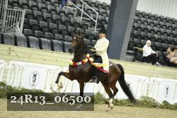 24R13_06500 thumbnail