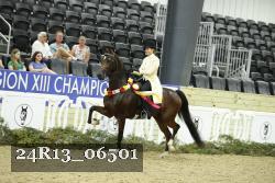 24R13_06501 thumbnail