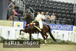 24R13_06502 thumbnail