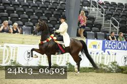 24R13_06503 thumbnail