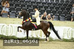 24R13_06504 thumbnail