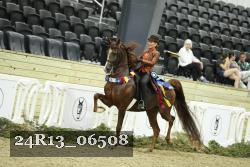 24R13_06508 thumbnail