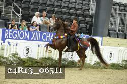 24R13_06511 thumbnail
