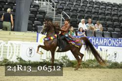 24R13_06512 thumbnail