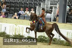 24R13_06514 thumbnail