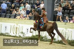 24R13_06515 thumbnail