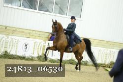 24R13_06530 thumbnail