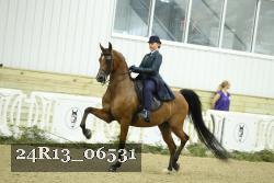 24R13_06531 thumbnail