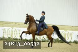 24R13_06532 thumbnail