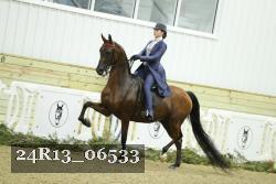 24R13_06533 thumbnail