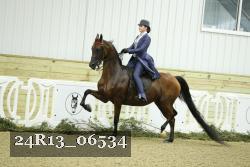 24R13_06534 thumbnail
