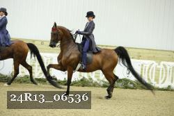 24R13_06536 thumbnail