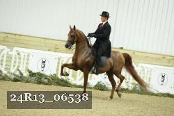 24R13_06538 thumbnail