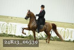 24R13_06539 thumbnail