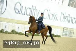 24R13_06540 thumbnail