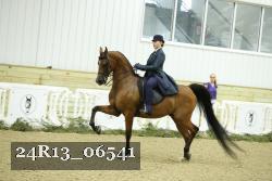 24R13_06541 thumbnail