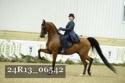 24R13_06542 thumbnail