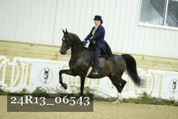 24R13_06543 thumbnail