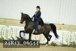 24R13_06544 thumbnail
