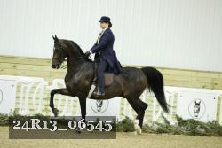 24R13_06545 thumbnail