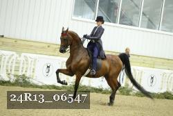 24R13_06547 thumbnail