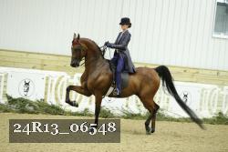 24R13_06548 thumbnail