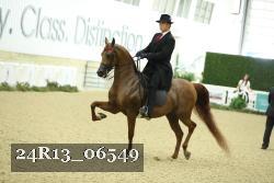 24R13_06549 thumbnail
