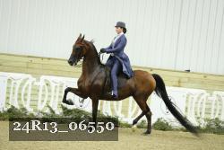 24R13_06550 thumbnail