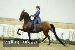 24R13_06551 thumbnail