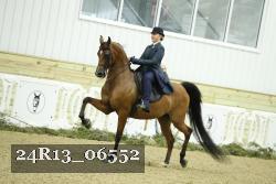 24R13_06552 thumbnail