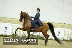 24R13_06553 thumbnail