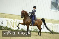 24R13_06558 thumbnail