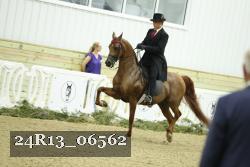 24R13_06562 thumbnail