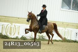 24R13_06563 thumbnail