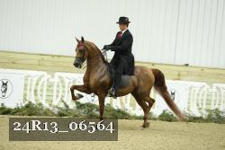24R13_06564 thumbnail