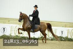 24R13_06565 thumbnail