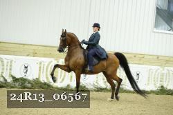 24R13_06567 thumbnail