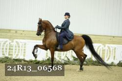 24R13_06568 thumbnail