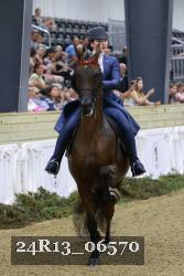 24R13_06570 thumbnail