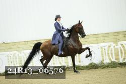 24R13_06576 thumbnail