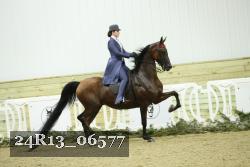 24R13_06577 thumbnail