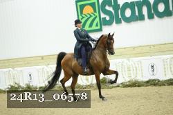 24R13_06578 thumbnail