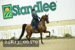 24R13_06579 thumbnail