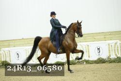 24R13_06580 thumbnail
