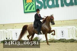 24R13_06581 thumbnail